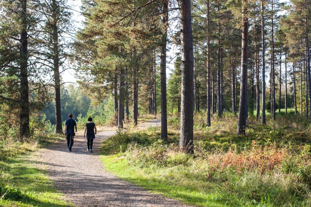 Skelleftea Camping Buitenkant foto
